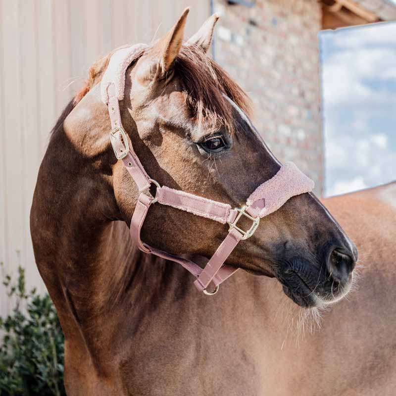 Grime Teddy Fleece Gammelrosa