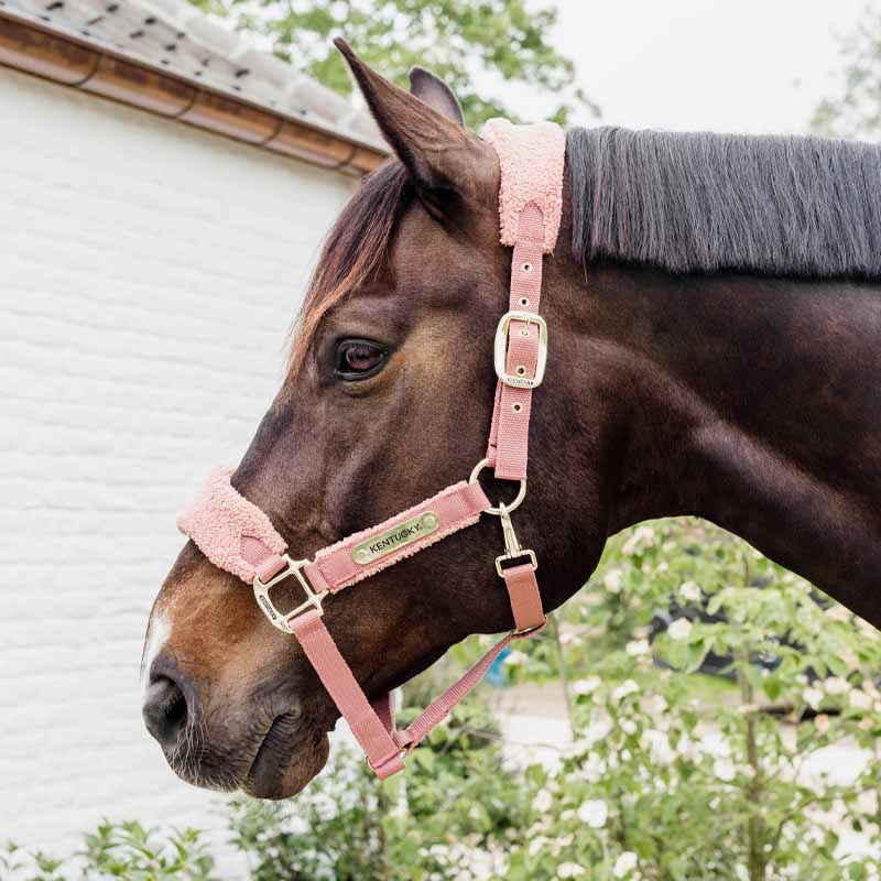 Grime Teddy Fleece Gammelrosa