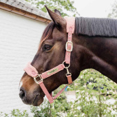 Grime Teddy Fleece Gammelrosa Grime Teddy Fleece Gammelrosa