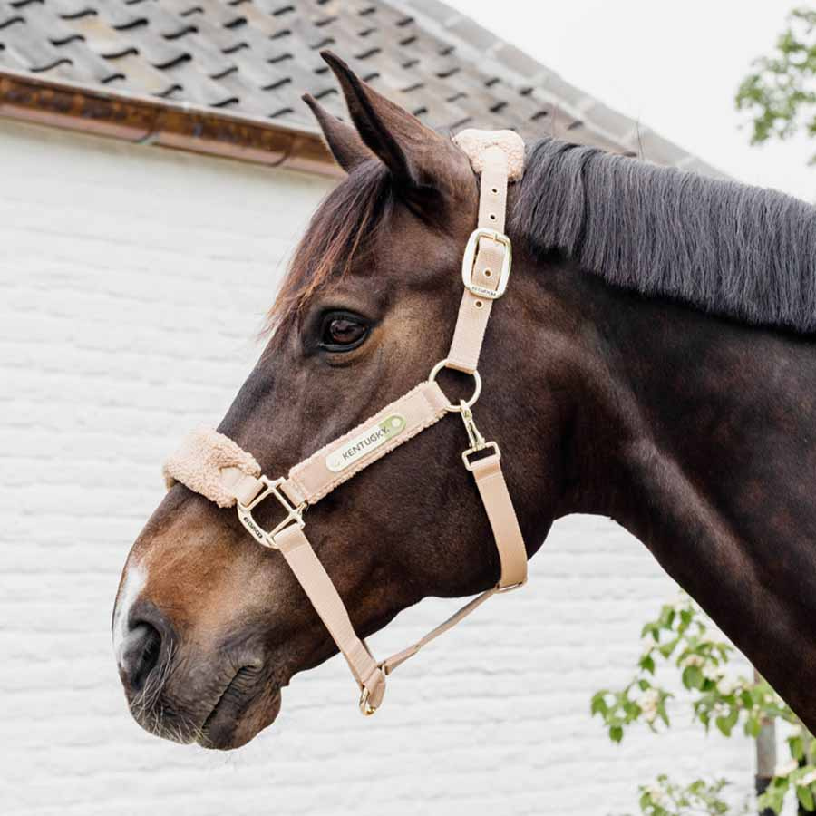 Grime Teddy Fleece Beige