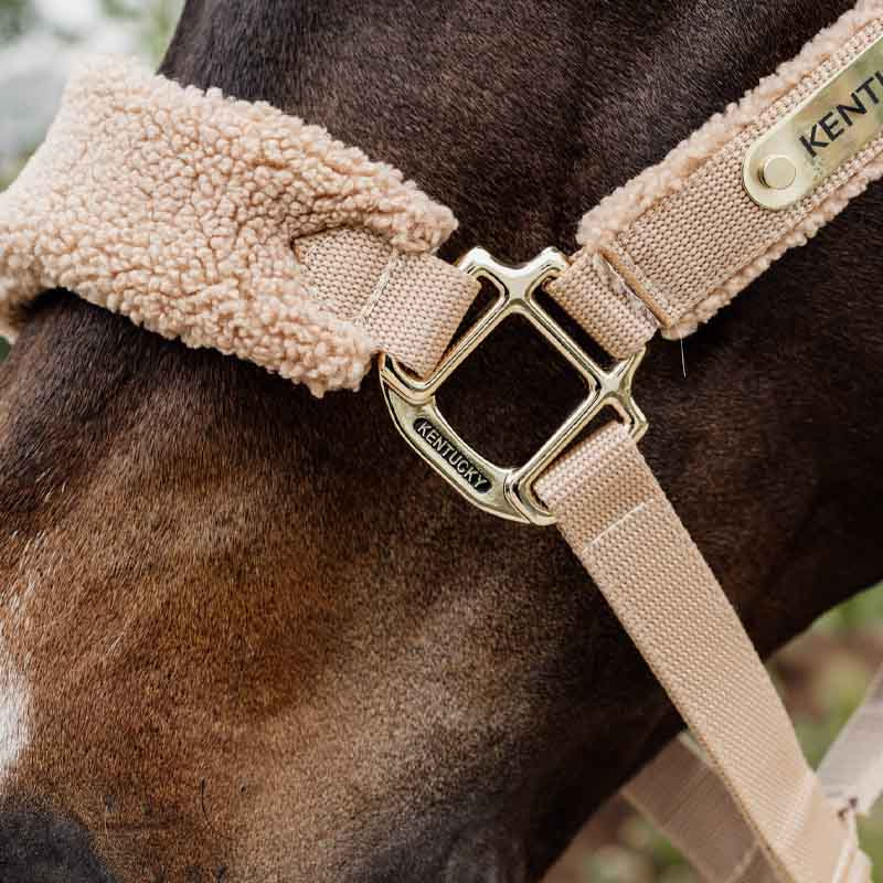 Grime Teddy Fleece Beige