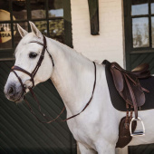 Dressursjabrak Fishbone Svart Dressursjabrak Fishbone Svart