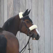 Noseband cover Sheepskin Natur Noseband cover Sheepskin Natur