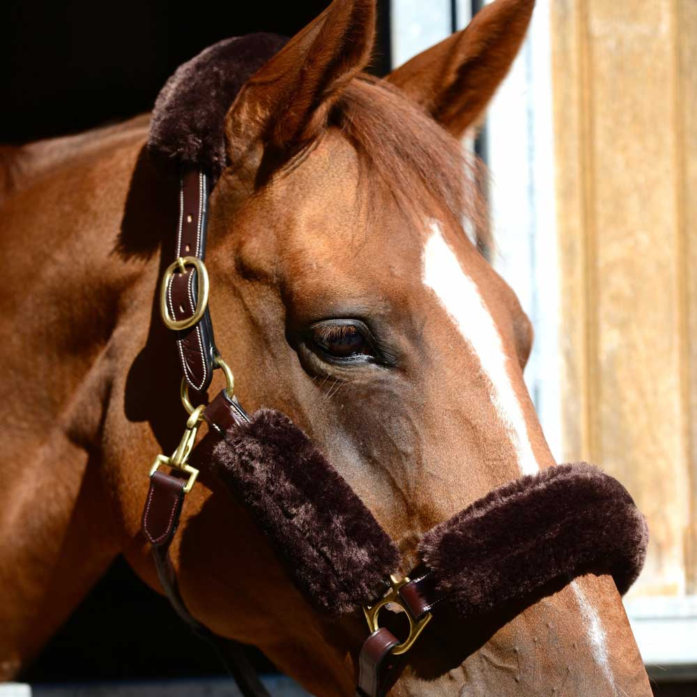 Sheepskin-sett til grime Brun