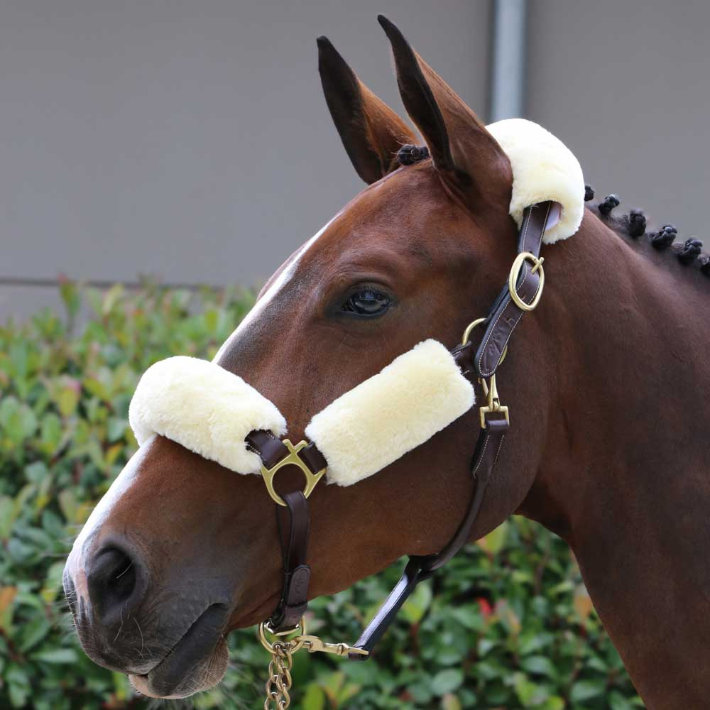 Sheepskin-sett til grime Natur