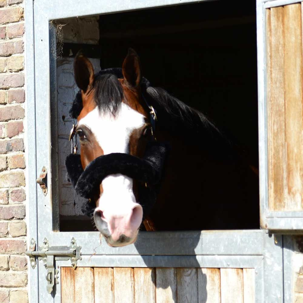 Sheepskin-sett til grime Svart