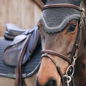 Ørehette Wellington Stone & Pearl Soundless Mørkegrå Ørehette Wellington Stone & Pearl Soundless Mørkegrå