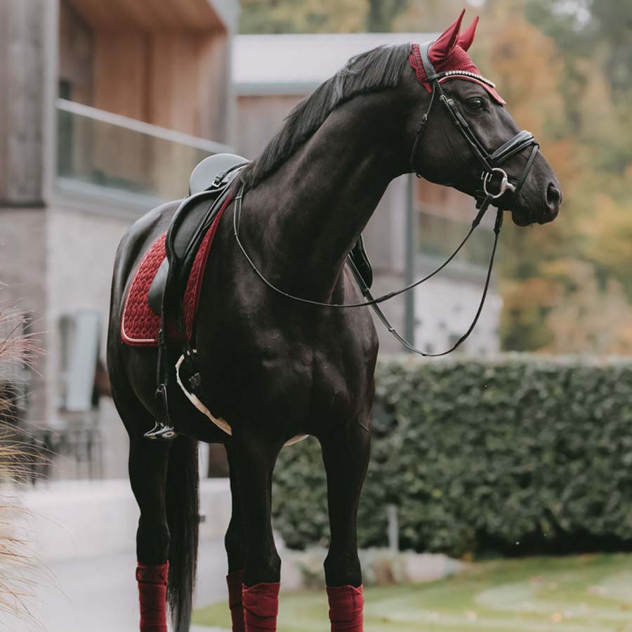 Ørehette Wellington Velvet Vinrød