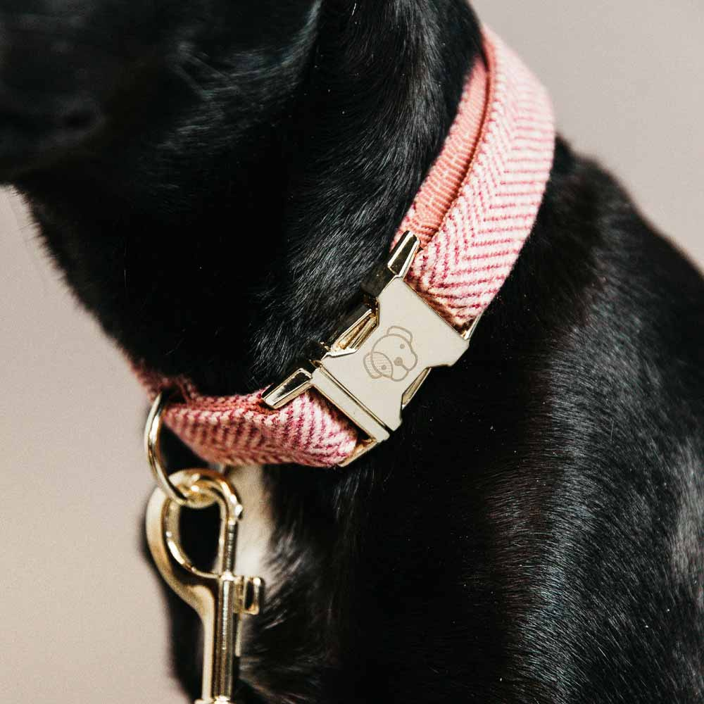 Hundehalsbånd Wool Rosa