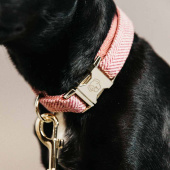 Hundehalsbånd Wool Rosa Hundehalsbånd Wool Rosa