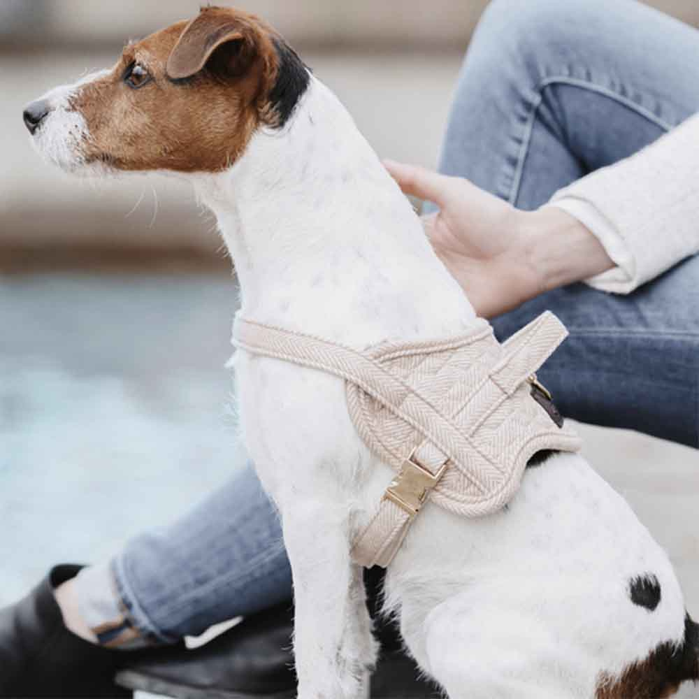 Hundesele Wool Beige