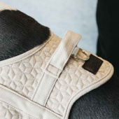 Hundesele Wool Beige Hundesele Wool Beige
