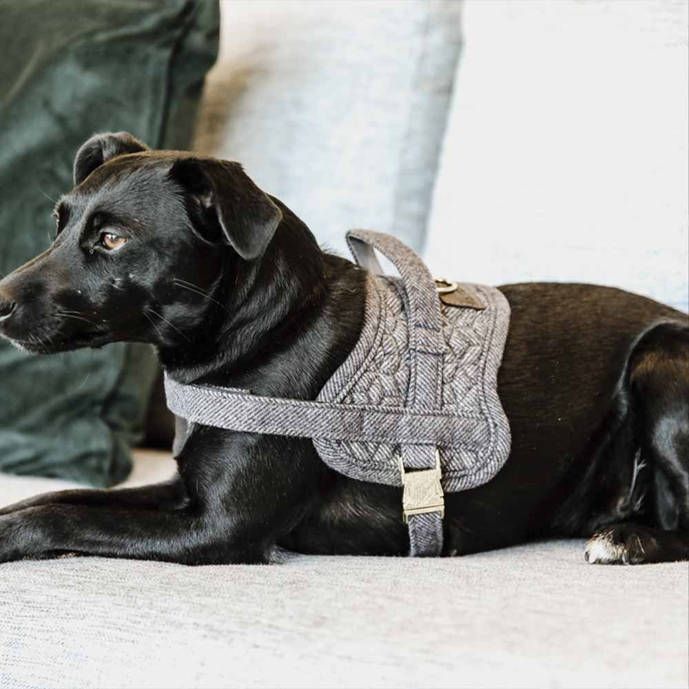 Hundesele Wool Grå