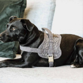 Hundesele Wool Grå Hundesele Wool Grå