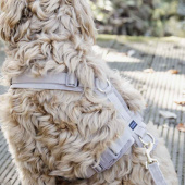 Hundesele Active Velvet Beige Hundesele Active Velvet Beige