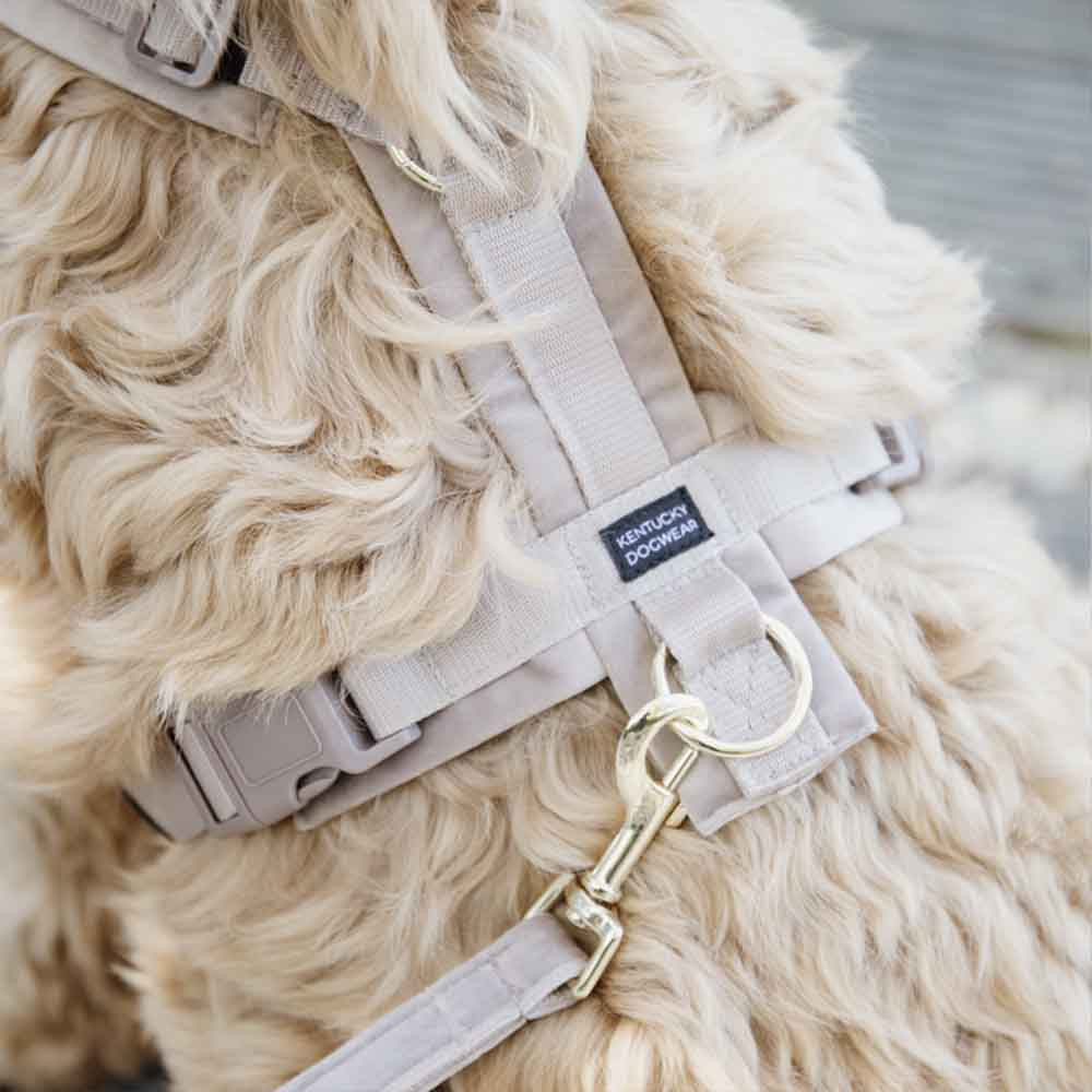 Hundesele Active Velvet Beige