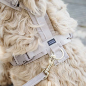 Hundesele Active Velvet Beige Hundesele Active Velvet Beige