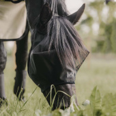 Fluemaske Classic uten ører Svart Fluemaske Classic uten ører Svart