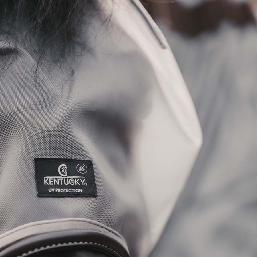 Fluemaske Classic uten ører Sølv