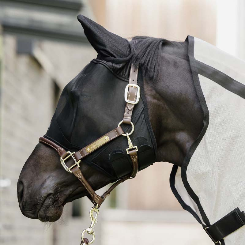 Fluemaske Classic med ører Svart