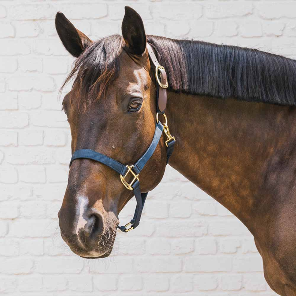 Grime Breakaway Marineblå