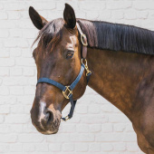 Grime Breakaway Marineblå Grime Breakaway Marineblå