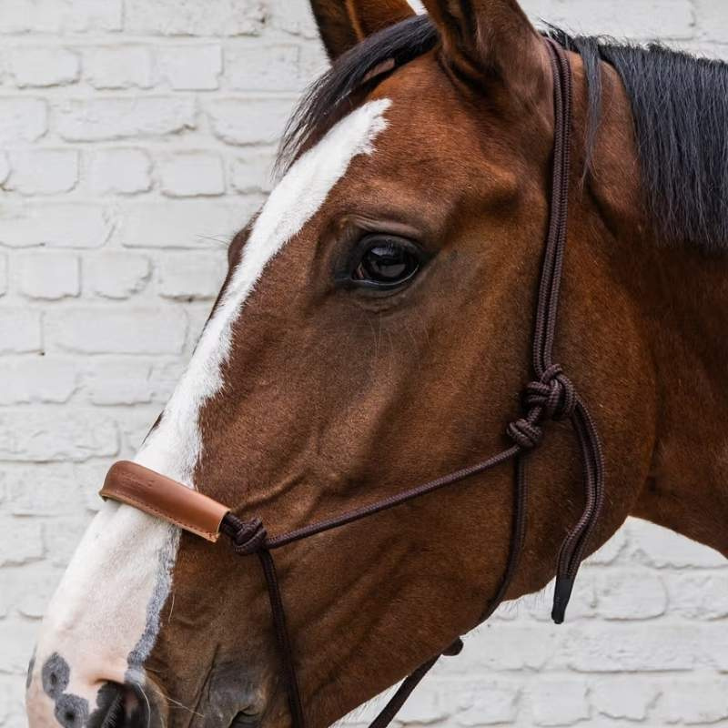 Taugrime Grooming Deluxe Brun