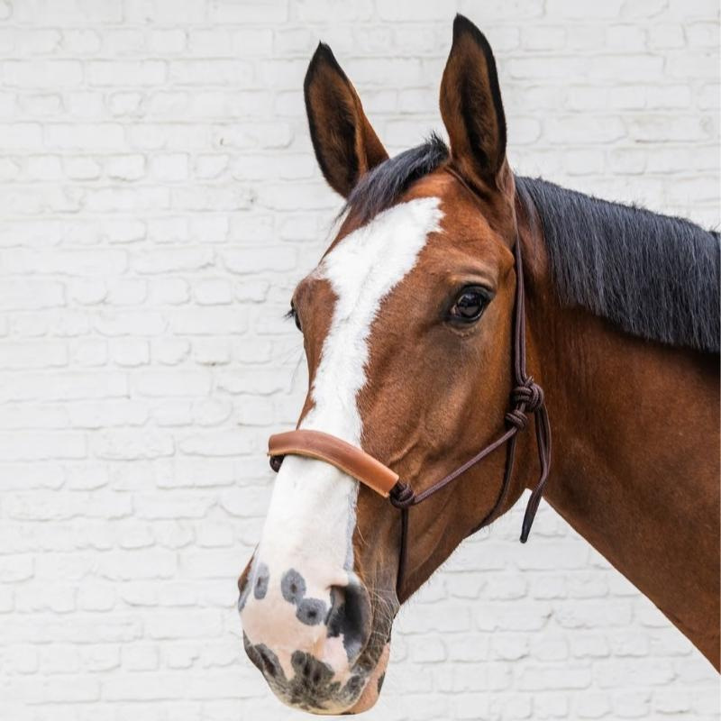 Taugrime Grooming Deluxe Brun