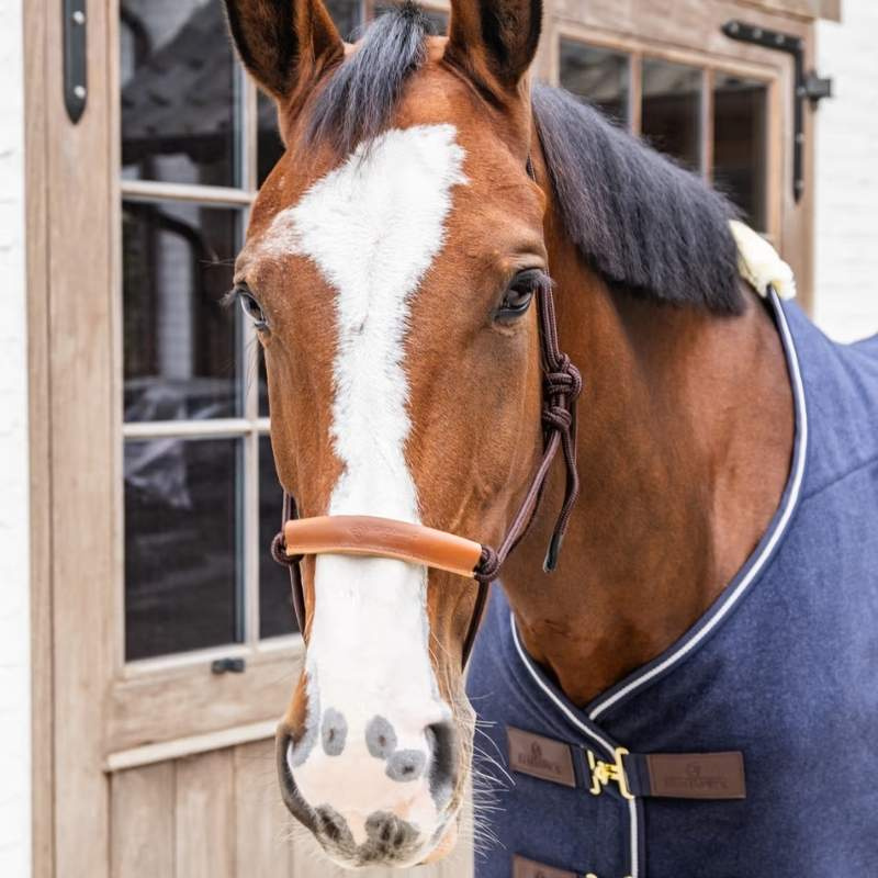 Taugrime Grooming Deluxe Brun
