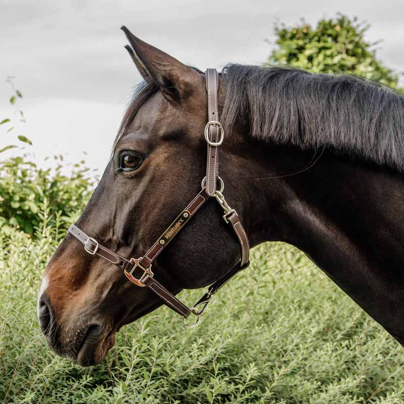 Lærgrime Artificial Anatomic Flexible Brun