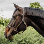 Lærgrime Artificial Anatomic Flexible Brun Lærgrime Artificial Anatomic Flexible Brun