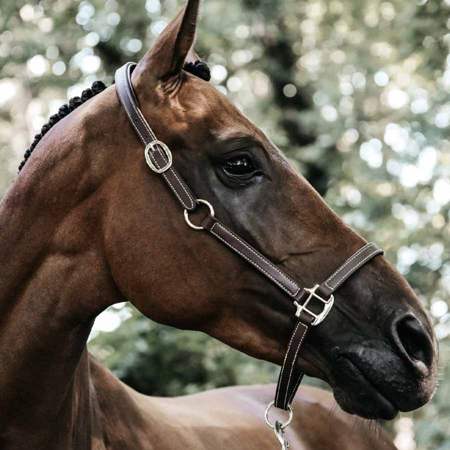 Lærgrime Artificial Anatomic Flexible Brun