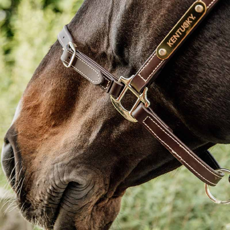 Lærgrime Artificial Anatomic Flexible Brun