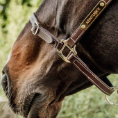 Lærgrime Artificial Anatomic Flexible Brun Lærgrime Artificial Anatomic Flexible Brun