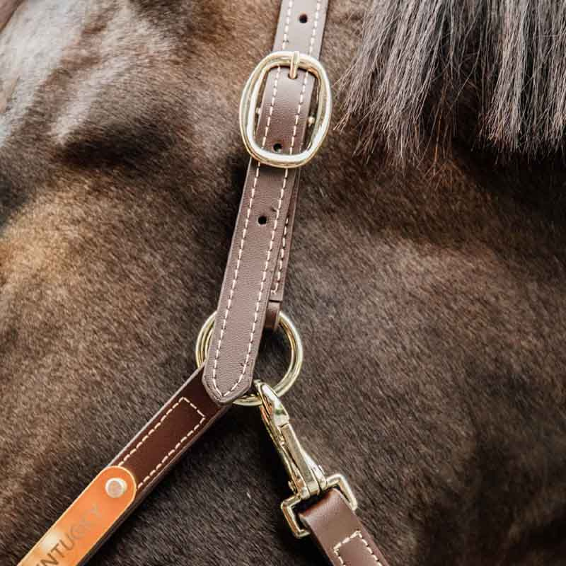 Lærgrime Artificial Anatomic Flexible Brun