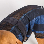 Kjøledekken Hund Cool on Track 2.0 Blå Kjøledekken Hund Cool on Track 2.0 Blå