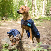 Kjøledekken Hund Cool on Track 2.0 Blå Kjøledekken Hund Cool on Track 2.0 Blå