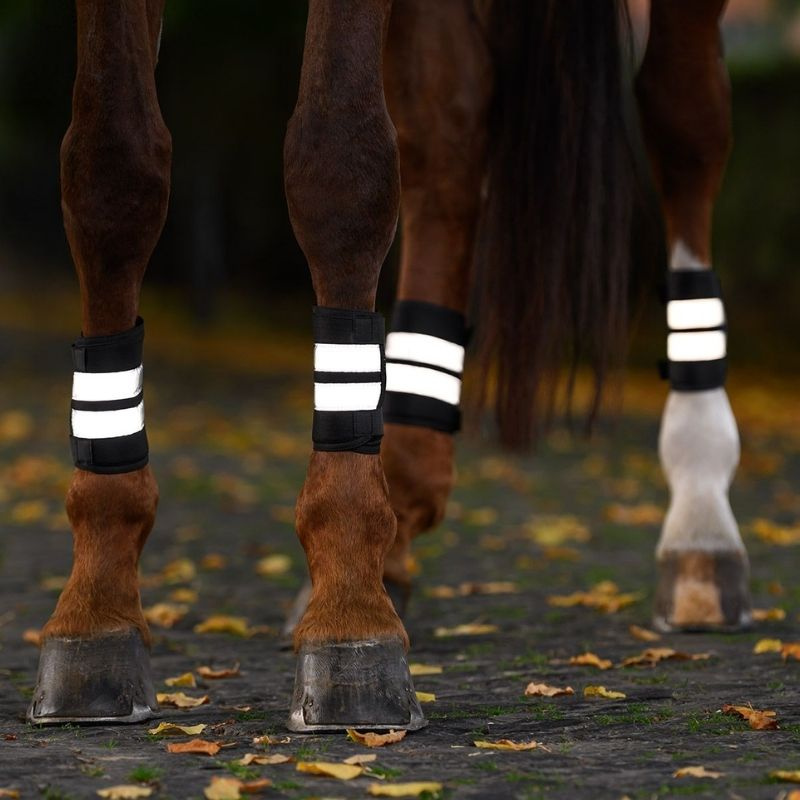 Beinreflekser Set 4-pack Svart/Sølv