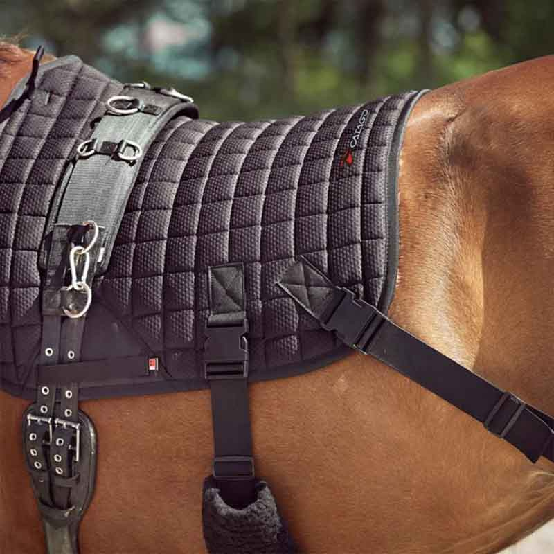 Sjabrak Fir-Tech med elastiske bånd Svart