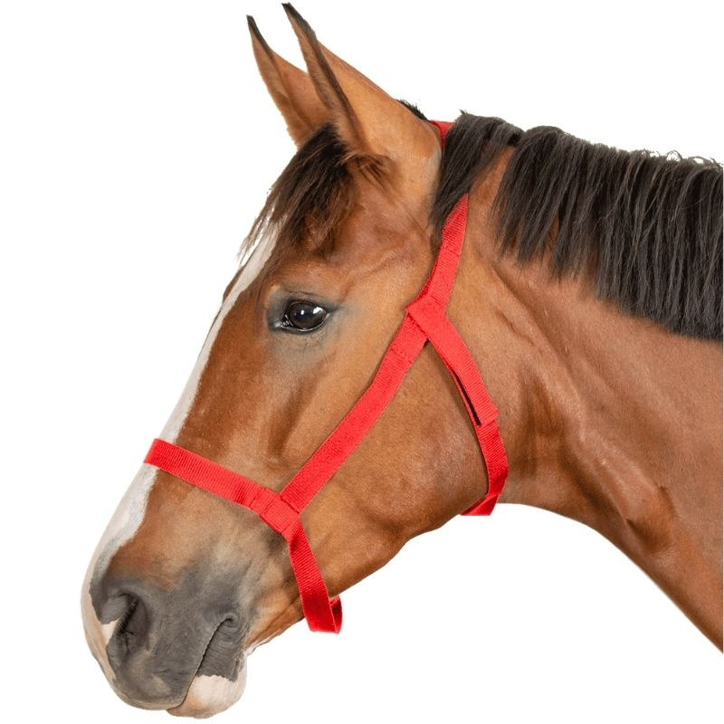 Beitegrime Grazing Rød