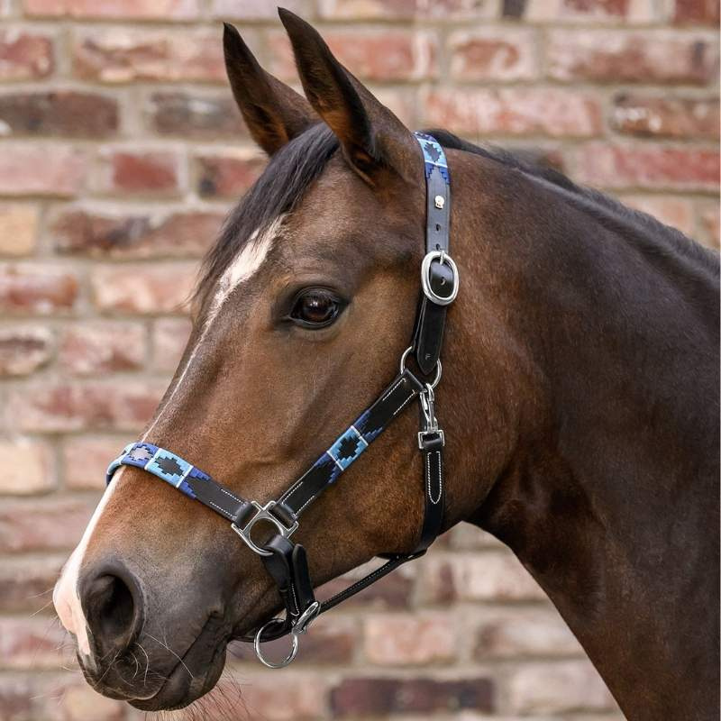Lærgrime Polo X-Line Svart/Blå