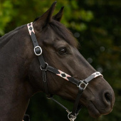 Lærgrime Polo X-Line Svart/Rosa Lærgrime Polo X-Line Svart/Rosa