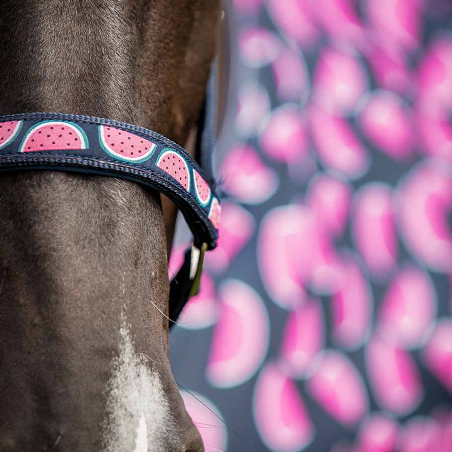 Grime Watermelon HG Marineblå