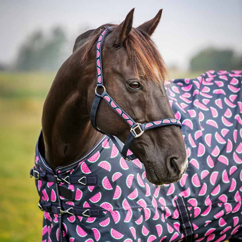 Grime Watermelon HG Marineblå