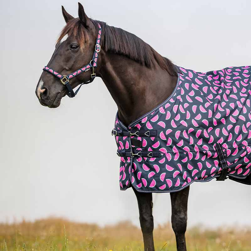 Grime Watermelon HG Marineblå