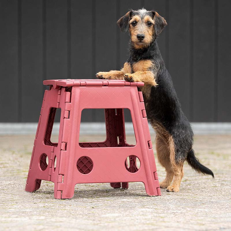 Sammenleggbar Pall Step-Up Vinrød