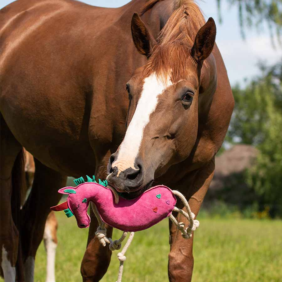 Hesteleke Unicorn semsket skinn ECO Rosa