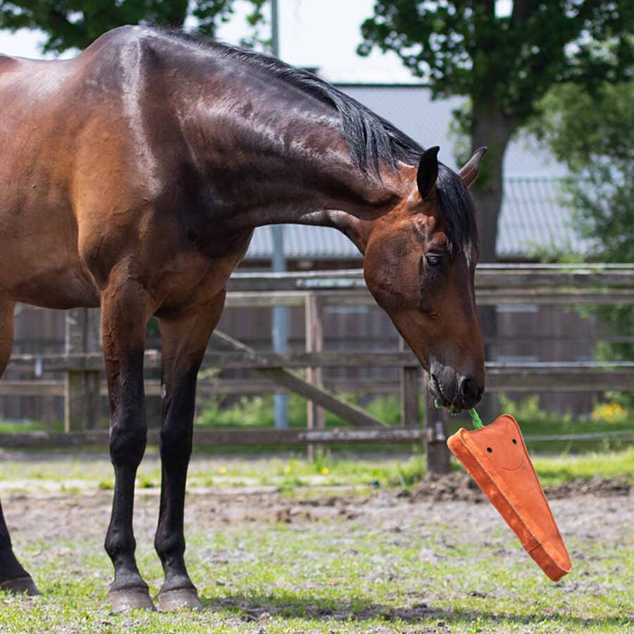 Hesteleke Carrot XL semsket skinn ECO Orange