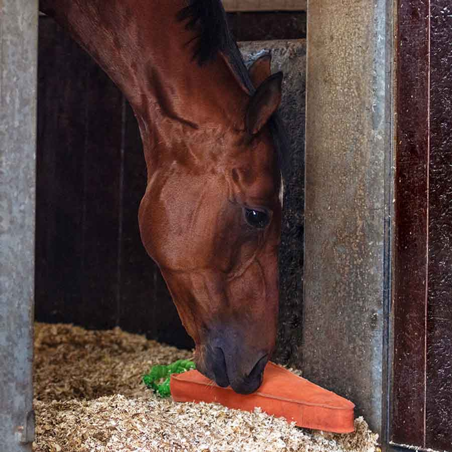 Hesteleke Carrot XL semsket skinn ECO Orange