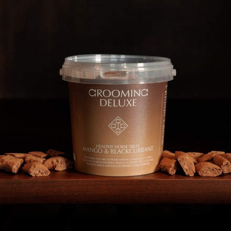 Hestegodteri Healthy Horse Treats Mango & Blackcurrant 500g